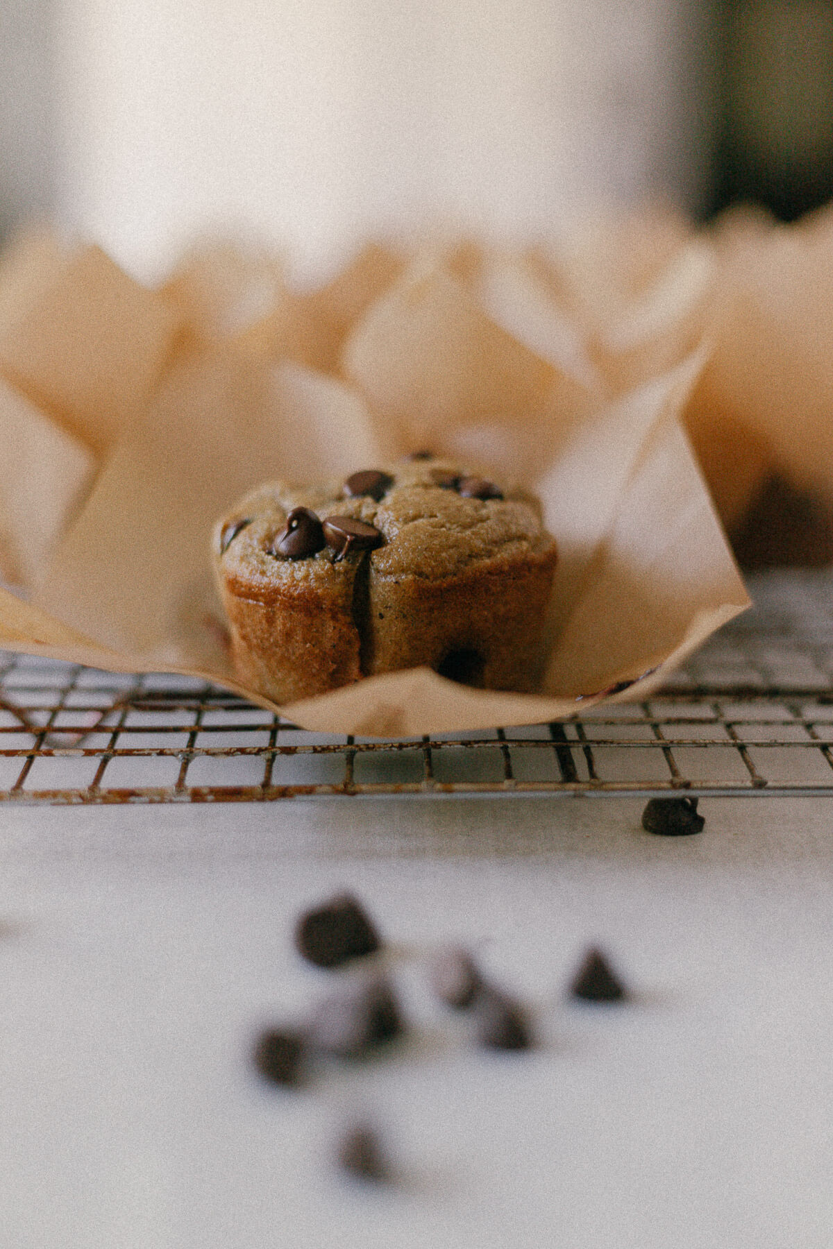 Blender Banana Chocolate Chip Muffins Banana Chocolate Chip Muffins on a cooling rack