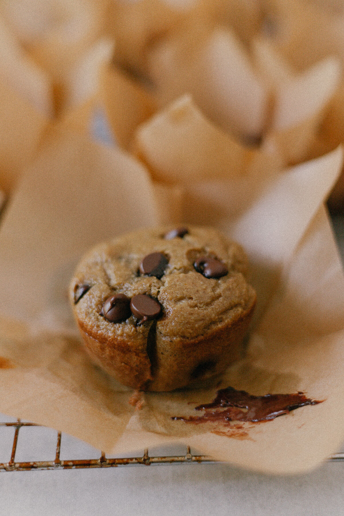 Blender Banana Chocolate Chip Muffins close up of Banana Chocolate Chip Muffins on a cooling rack