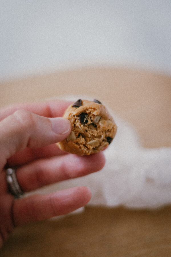 Holding a Chocolate Peanut Butter Protein Ball