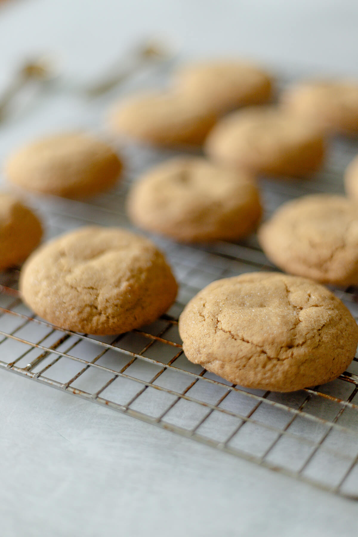 soft and delicious gluten free ginger cookies