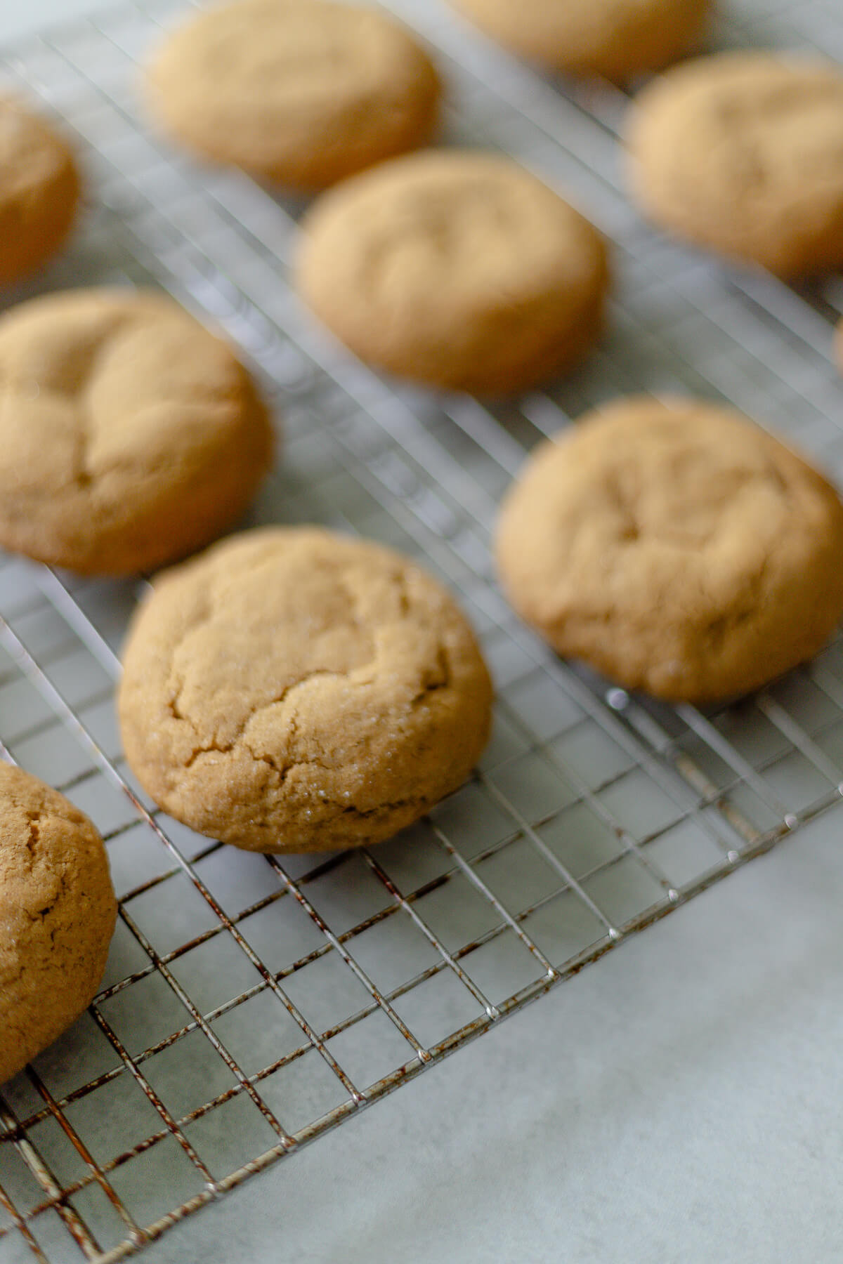 soft and delicious gluten free ginger cookies
