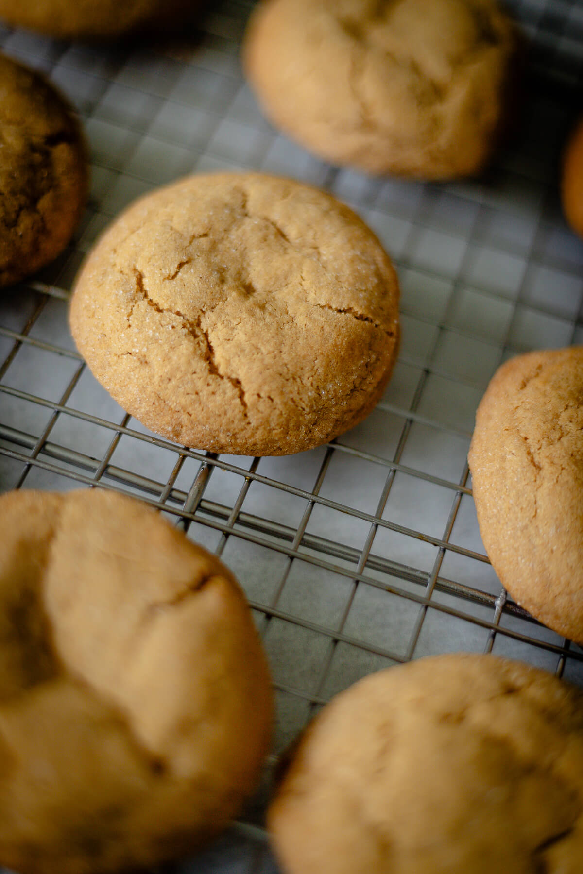 soft and delicious gluten free ginger cookies